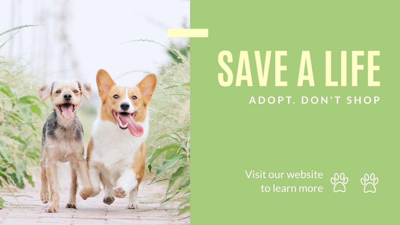 Save a Life adoption - Twitter Ad Template